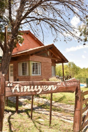 Cabañas Amuyen